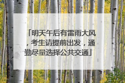 明天午后有雷雨大风，考生请提前出发，通勤尽量选择公共交通
