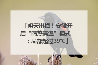 明天出梅！安徽开启“晴热高温”模式：局部超过39℃