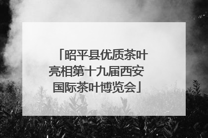 昭平县优质茶叶亮相第十九届西安国际茶叶博览会