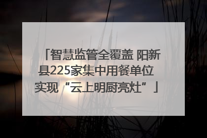 智慧监管全覆盖 阳新县225家集中用餐单位实现“云上明厨亮灶”