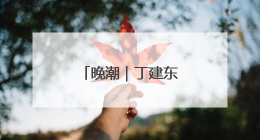 晚潮｜丁建东的渔文化情怀