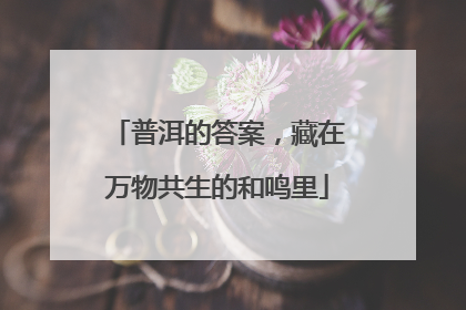 普洱的答案，藏在万物共生的和鸣里