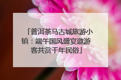普洱茶马古城旅游小镇：端午国风盛宴邀游客共赏千年民俗