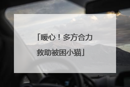 暖心！多方合力救助被困小猫