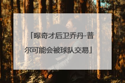 曝奇才后卫乔丹-普尔可能会被球队交易