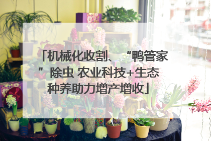 机械化收割、“鸭管家”除虫 农业科技+生态种养助力增产增收