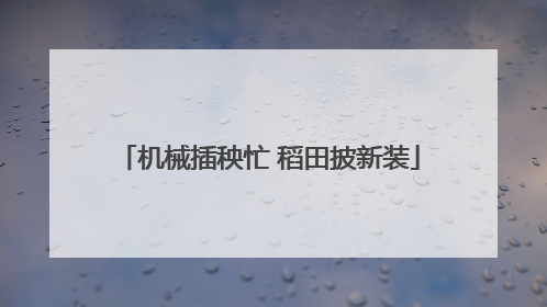 机械插秧忙 稻田披新装
