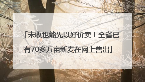 未收也能先以好价卖！全省已有70多万亩新麦在网上售出