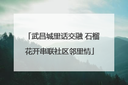 武昌城里话交融 石榴花开串联社区邻里情