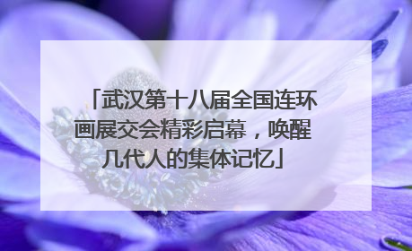 武汉第十八届全国连环画展交会精彩启幕，唤醒几代人的集体记忆