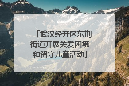 武汉经开区东荆街道开展关爱困境和留守儿童活动