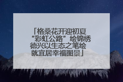 格桑花开迎初夏 “彩虹公路”绘锦绣 德兴以生态之笔绘就宜居幸福图景