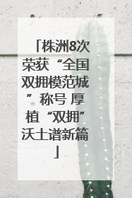 株洲8次荣获“全国双拥模范城”称号 厚植“双拥”沃土谱新篇