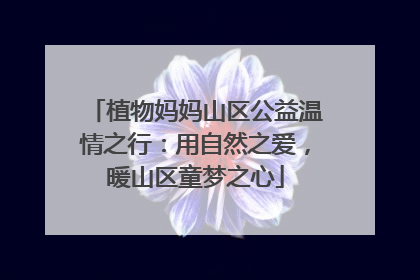 植物妈妈山区公益温情之行：用自然之爱，暖山区童梦之心