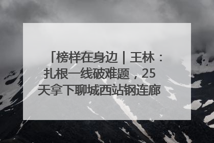 榜样在身边｜王林：扎根一线破难题，25天拿下聊城西站钢连廊“硬核”工程