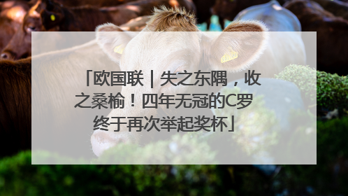 欧国联｜失之东隅，收之桑榆！四年无冠的C罗终于再次举起奖杯