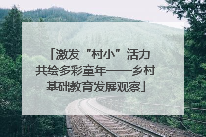 激发“村小”活力 共绘多彩童年——乡村基础教育发展观察