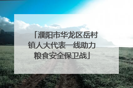 濮阳市华龙区岳村镇人大代表一线助力粮食安全保卫战