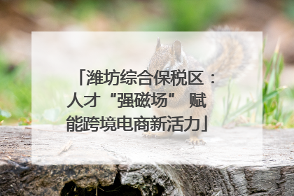 潍坊综合保税区：人才“强磁场” 赋能跨境电商新活力