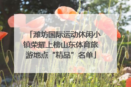潍坊国际运动休闲小镇荣耀上榜山东体育旅游地点“精品”名单