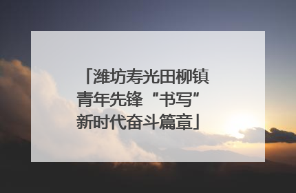 潍坊寿光田柳镇青年先锋“书写”新时代奋斗篇章