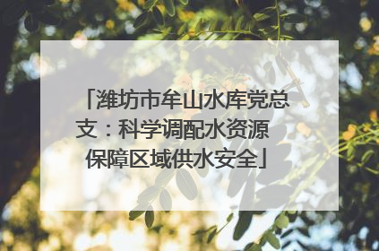 潍坊市牟山水库党总支：科学调配水资源 保障区域供水安全