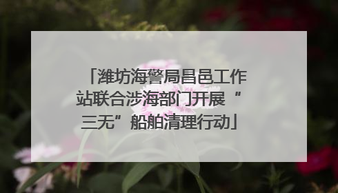 潍坊海警局昌邑工作站联合涉海部门开展“三无”船舶清理行动