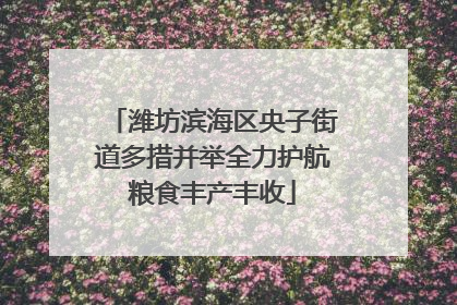 潍坊滨海区央子街道多措并举全力护航粮食丰产丰收