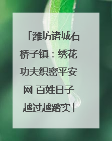 潍坊诸城石桥子镇：绣花功夫织密平安网 百姓日子越过越踏实