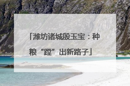 潍坊诸城殷玉宝：种粮“蹚”出新路子