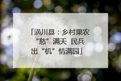 潢川县：乡村果农“愁”满天  民兵出“机”情满园