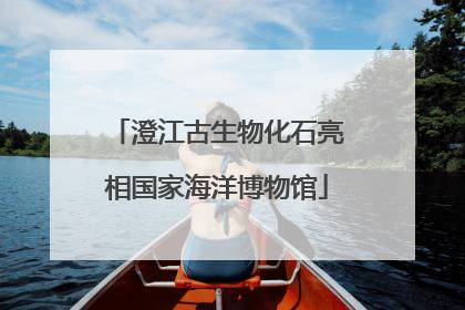 澄江古生物化石亮相国家海洋博物馆