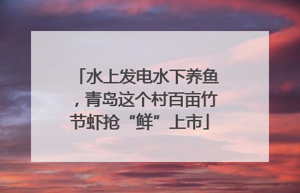 水上发电水下养鱼，青岛这个村百亩竹节虾抢“鲜”上市