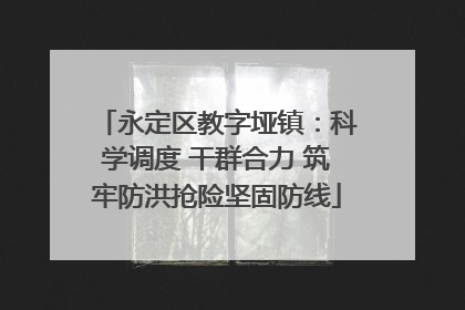 永定区教字垭镇：科学调度 干群合力 筑牢防洪抢险坚固防线