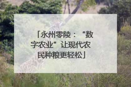 永州零陵：“数字农业”让现代农民种粮更轻松