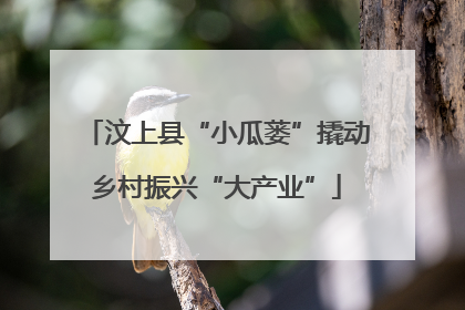汶上县“小瓜蒌”撬动乡村振兴“大产业”