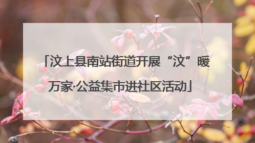 汶上县南站街道开展“汶”暖万家·公益集市进社区活动