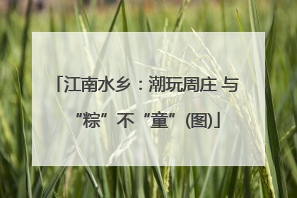 江南水乡：潮玩周庄 与“粽”不“童”(图)