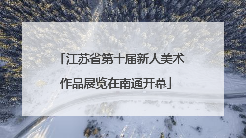 江苏省第十届新人美术作品展览在南通开幕
