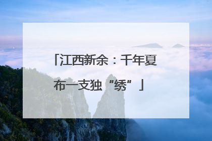 江西新余：千年夏布一支独“绣”