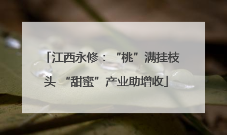 江西永修：“桃”满挂枝头 “甜蜜”产业助增收