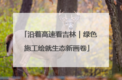 沿着高速看吉林｜绿色施工绘就生态新画卷