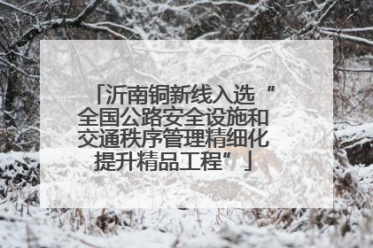 沂南铜新线入选“全国公路安全设施和交通秩序管理精细化提升精品工程”