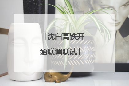 沈白高铁开始联调联试