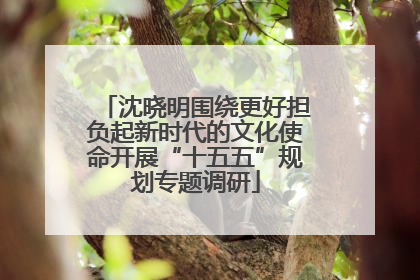 沈晓明围绕更好担负起新时代的文化使命开展“十五五”规划专题调研