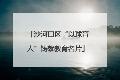 沙河口区“以球育人”铸就教育名片
