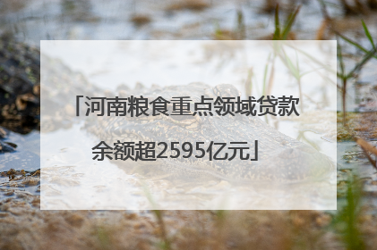 河南粮食重点领域贷款余额超2595亿元