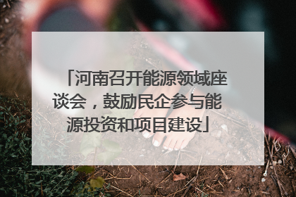 河南召开能源领域座谈会，鼓励民企参与能源投资和项目建设