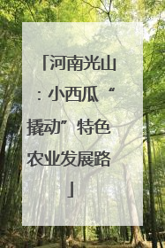 河南光山：小西瓜“撬动”特色农业发展路
