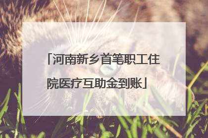 河南新乡首笔职工住院医疗互助金到账